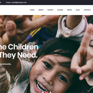 Charitius for non-profit and NGO websites